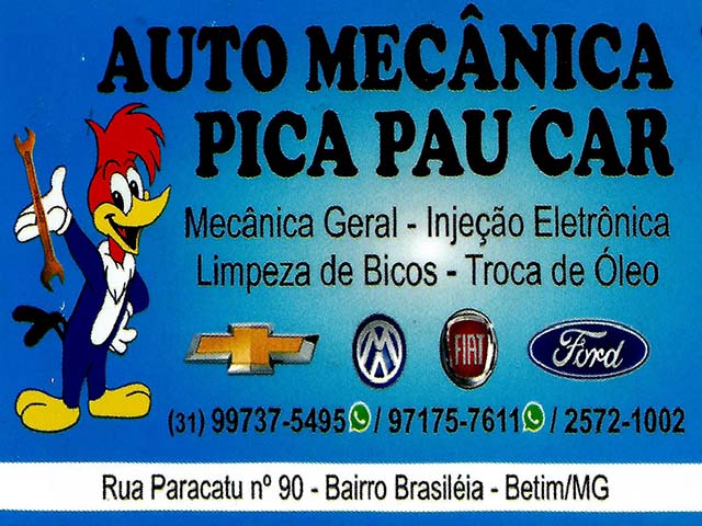 AUTO MECÂNICA PICA PAU CAR