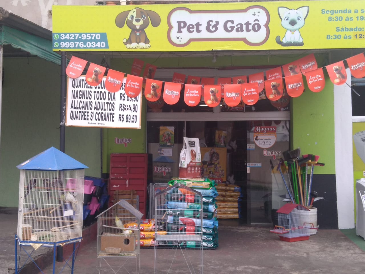 PET & GATÔ