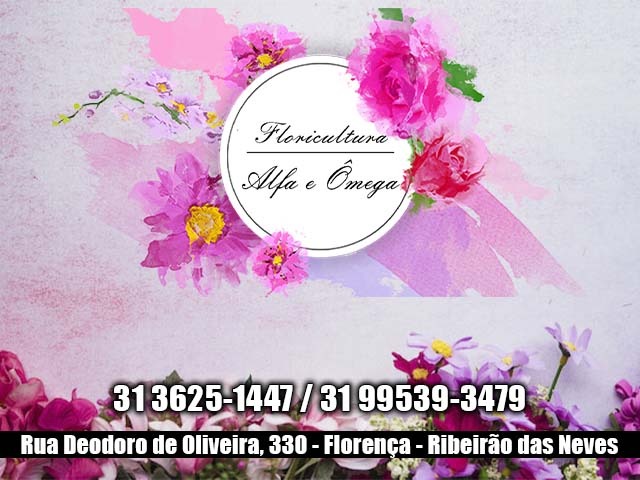 FLORICULTURA ALFA E OMEGA