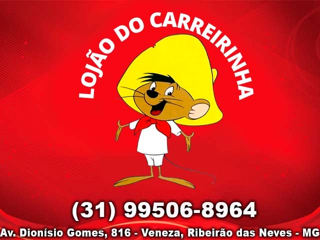 LOJÃO DO CARREIRINHA