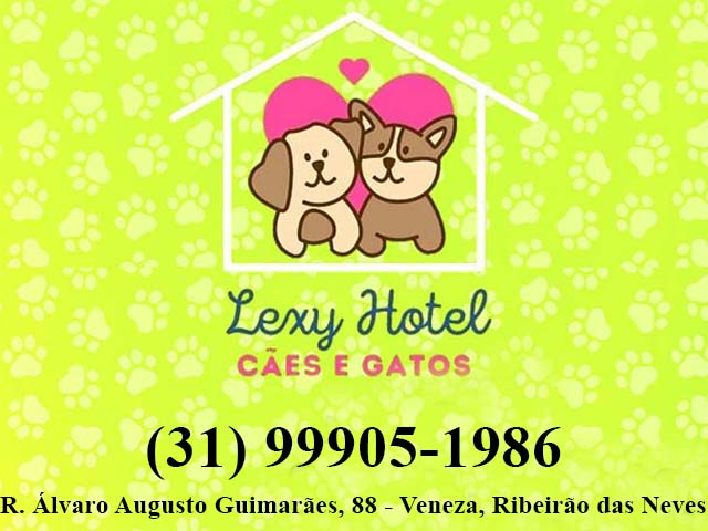 LEXY HOTEL CÃES E GATOS
