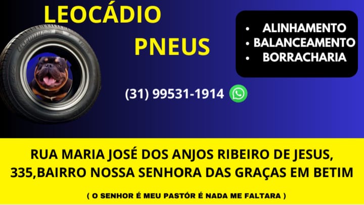 LEOCADIO PNEUS