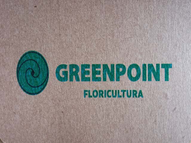 GREENPOINT FLORICULTURA