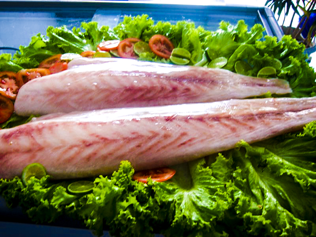 BELLO PEIXE LTDA