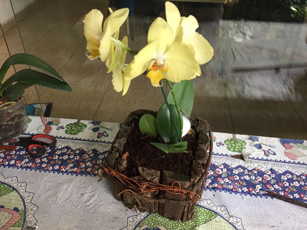 ATELIER DAS MUDAS E FLORES