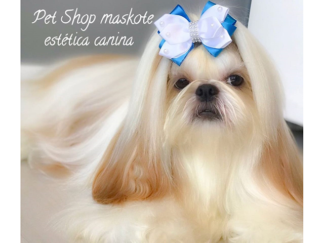 MASKOTE ESTÉTICA ANIMAL