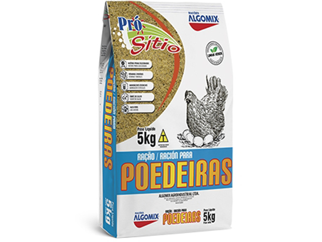 ELIZABETE LOPES RIBEIRO