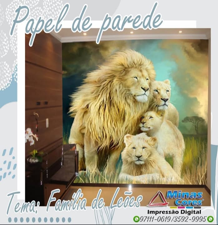 MINAS CORES
